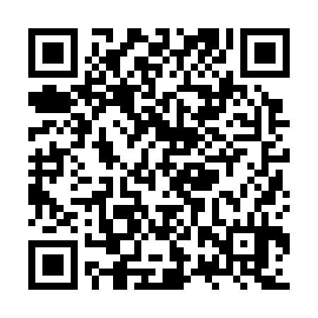 QR code for ZRZ334