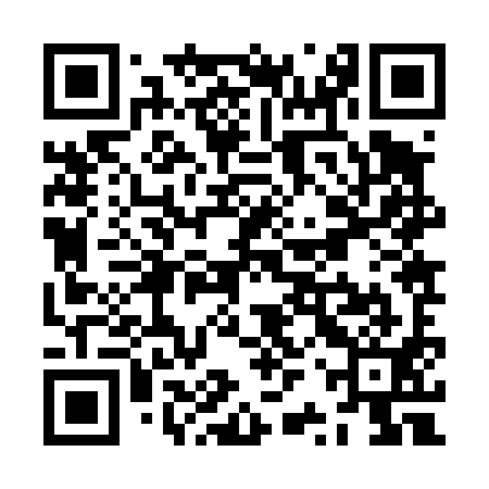 QR code for ZRZ491