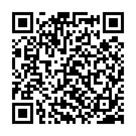 QR code for ZSG533