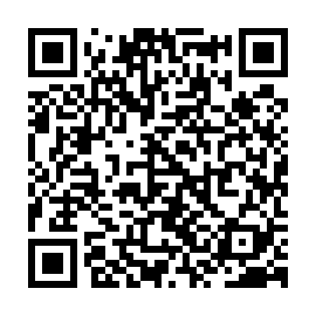 QR code for ZSI529