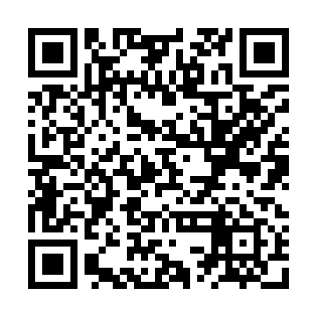 QR code for ZSJ919