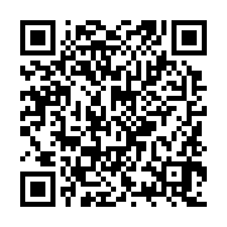 QR code for ZSL382