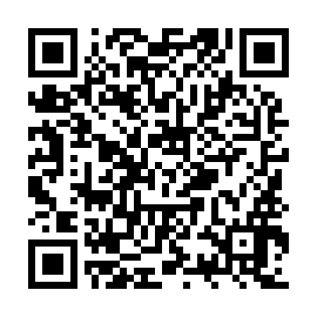 QR code for ZSL996