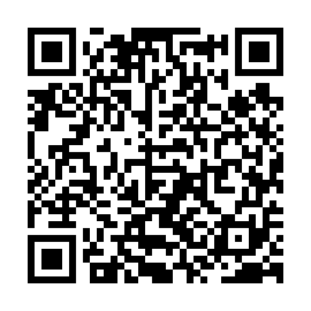 QR code for ZSM651