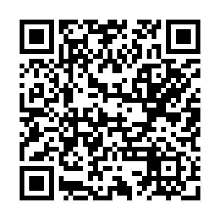 QR code for ZSM919