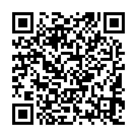 QR code for ZSM951