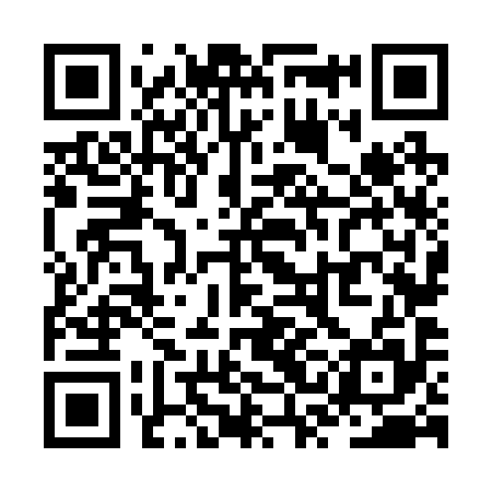 QR code for ZSN295