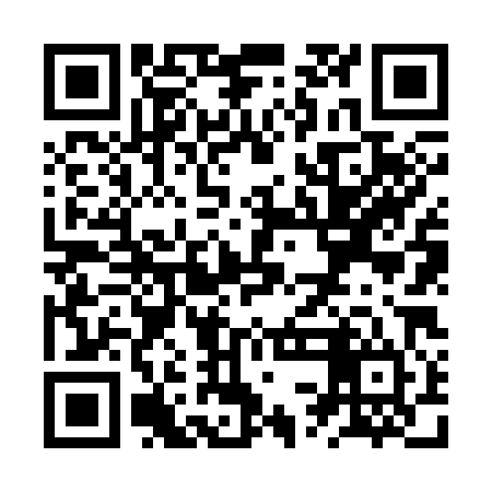 QR code for ZSN384