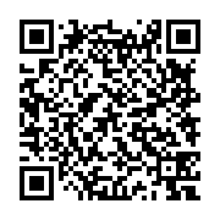 QR code for ZSN838