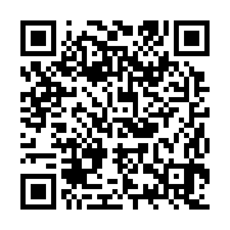 QR code for ZSR383