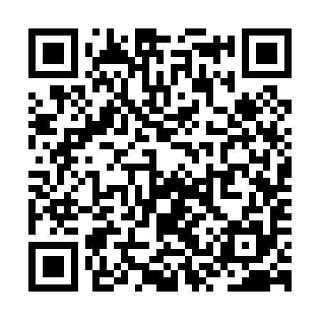 QR code for ZSS095