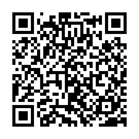 QR code for ZSS225