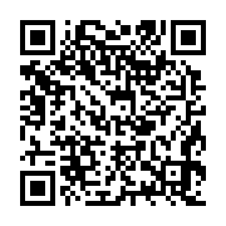 QR code for ZSS373