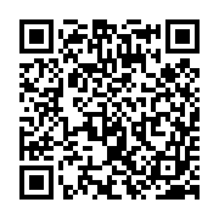 QR code for ZSS453