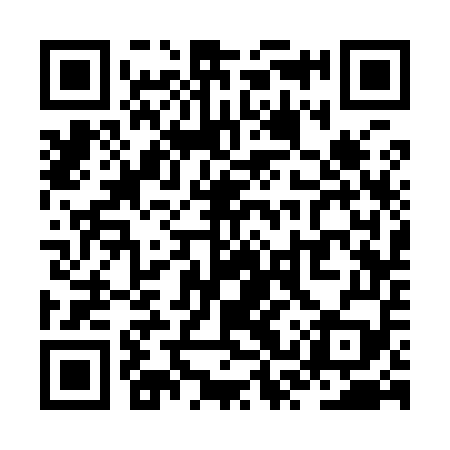 QR code for ZSS959