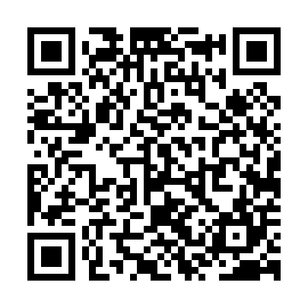 QR code for ZST004
