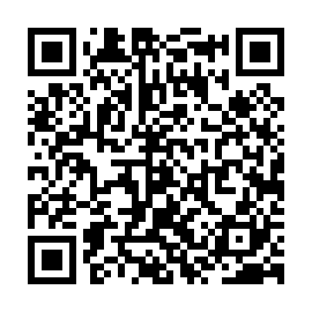 QR code for ZST020