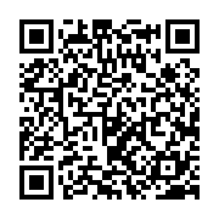 QR code for ZST135