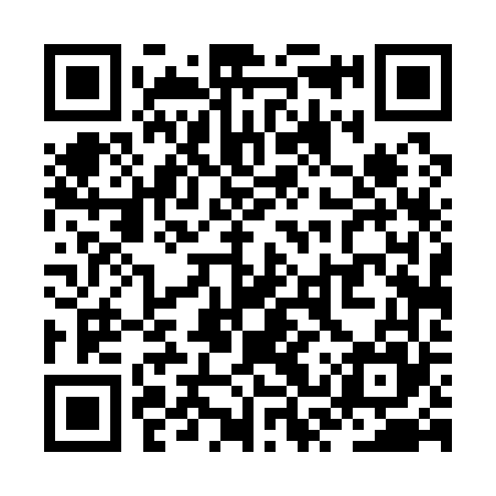 QR code for ZST165