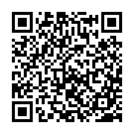 QR code for ZST247