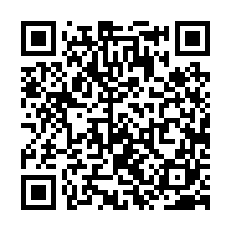 QR code for ZST260