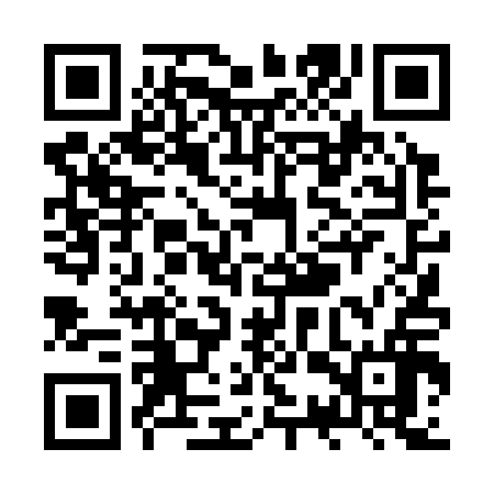 QR code for ZST316