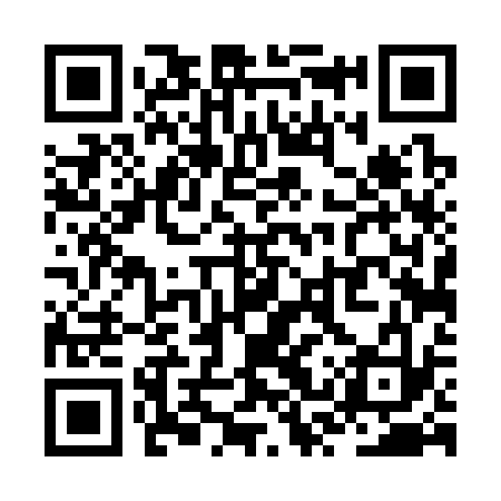 QR code for ZST333