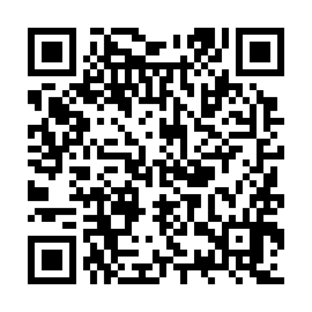 QR code for ZST394