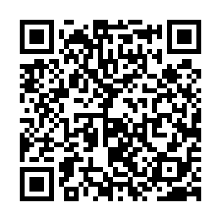 QR code for ZST518