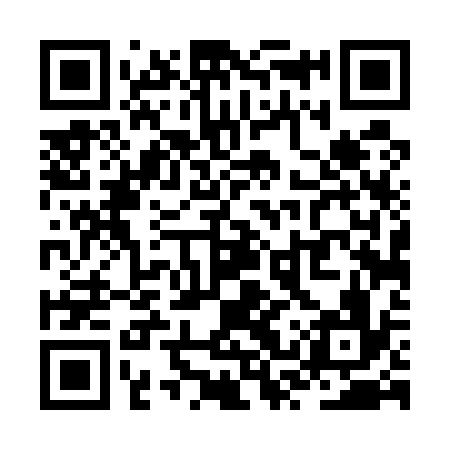 QR code for ZST536