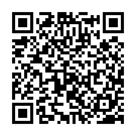QR code for ZST555