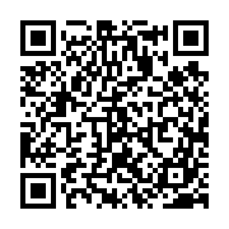 QR code for ZST667