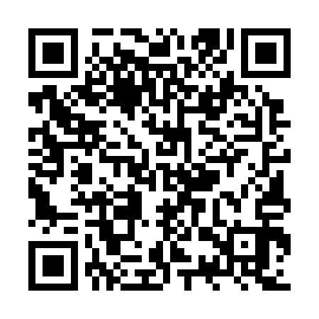QR code for ZSU313