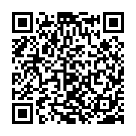 QR code for ZSV111