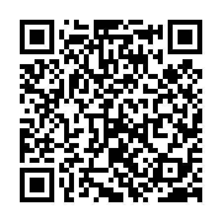 QR code for ZSV419