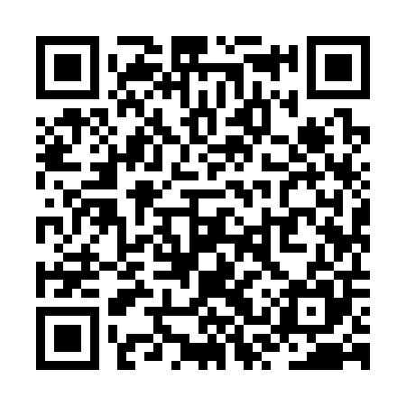 QR code for ZSY305