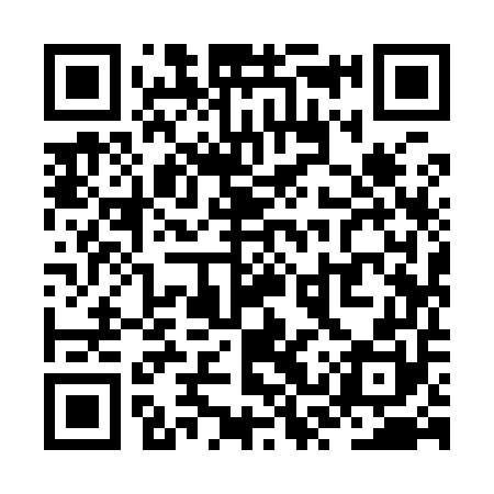 QR code for ZSY950