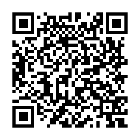 QR code for ZSY973