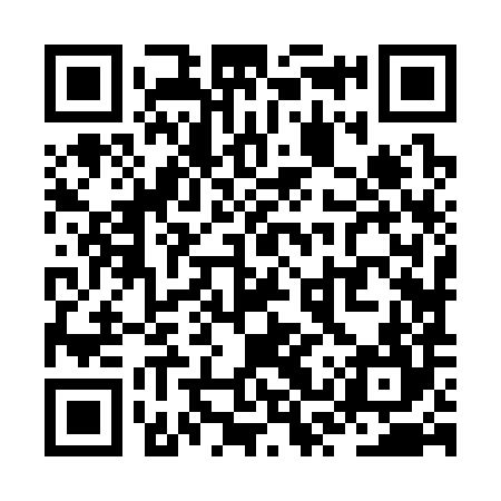 QR code for ZSZ384