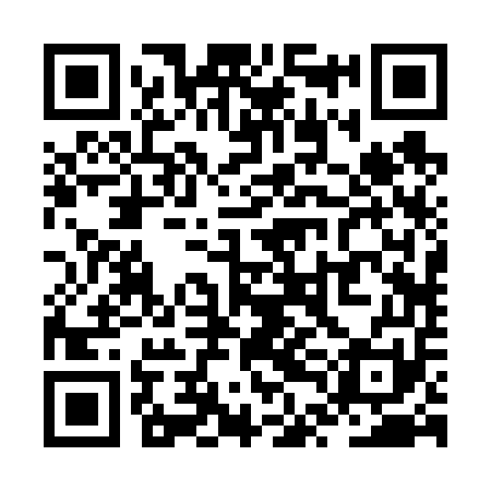 QR code for ZTB651