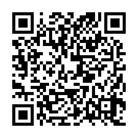 QR code for ZTB938