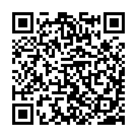 QR code for ZTB998