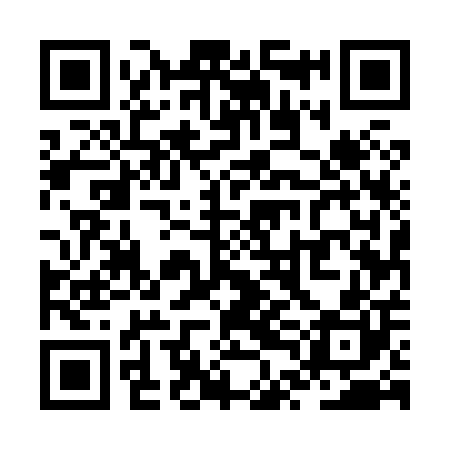 QR code for ZTE800
