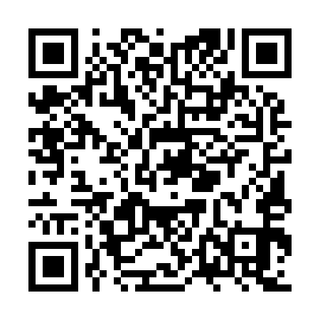 QR code for ZTE951