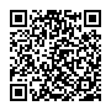 QR code for ZTF295