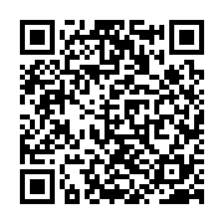 QR code for ZTF335