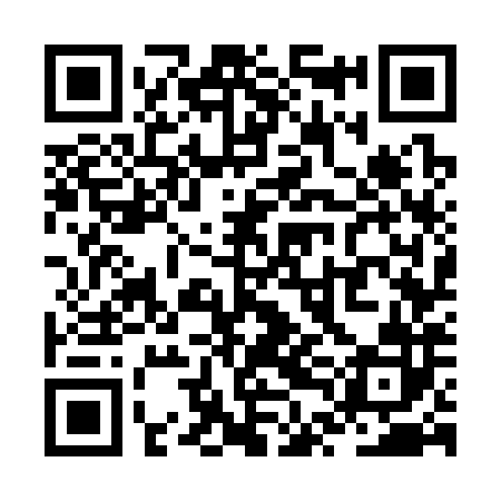 QR code for ZTG382