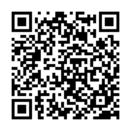 QR code for ZTG384