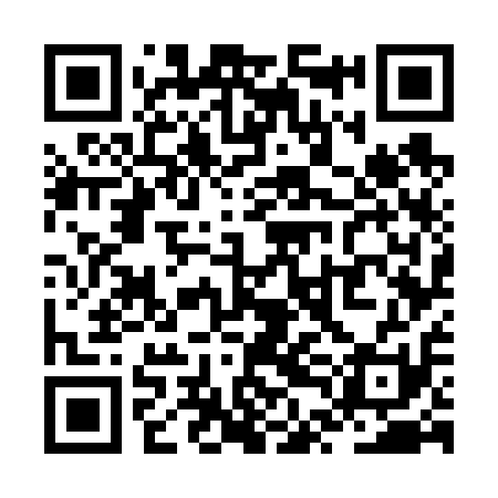 QR code for ZTG611