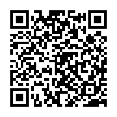 QR code for ZTH510